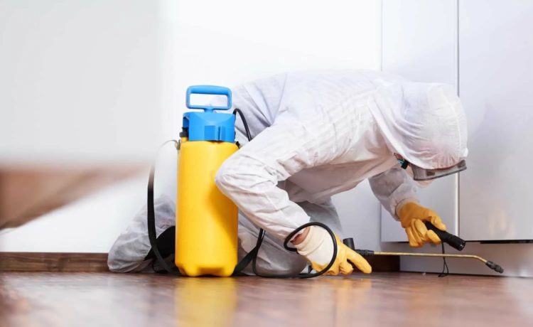 Explore the Middlesex, New Jersey Pest Control Services  