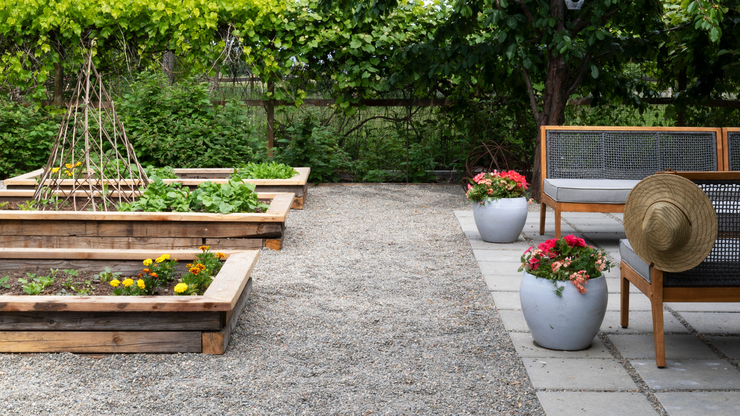 Budget-Friendly Backyard Beautifiers: Affordable Equipment for Every Homeowner